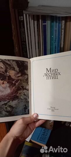 Книги о птицах (орнитология)