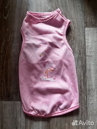 Одежда для маленьких пород собак