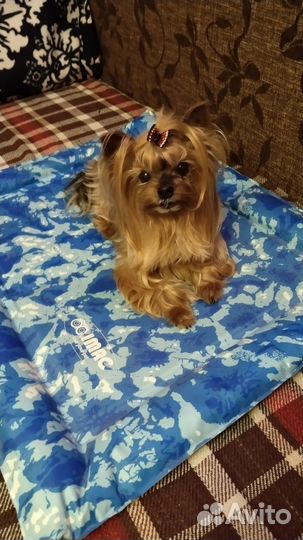 Охлаждающий коврик для животных iMac