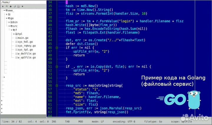 Разработчик GO / PHP & JavaScript, TeamLead, CTO