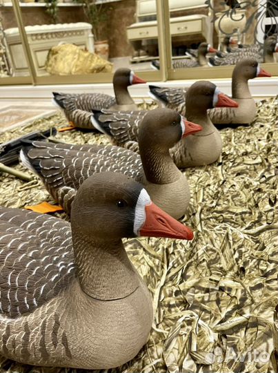 Гусей чучела