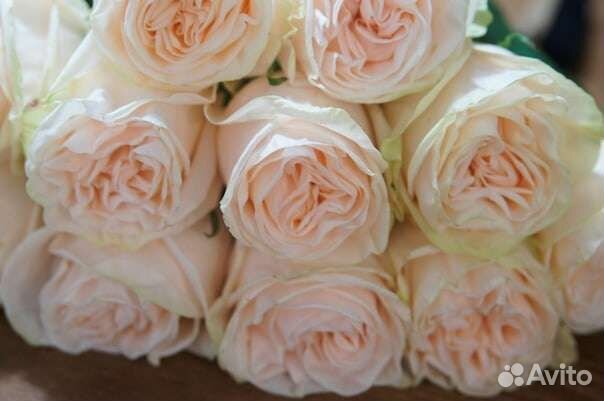 Розы Пионовидные букет