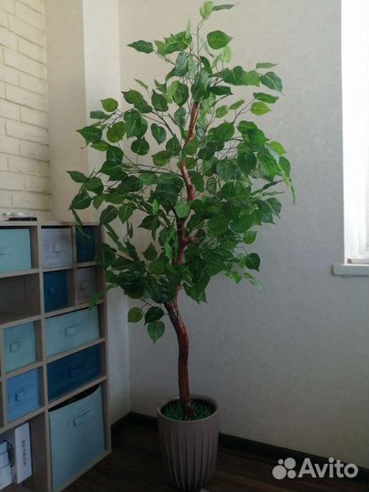 Искусственное дерево 1,7 метра