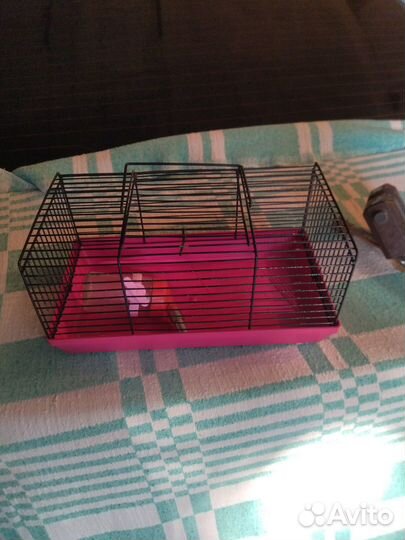 Маленькая клетка для хомяка