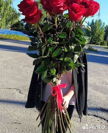 Розы Цветы Букеты 25 51 151 201 101 301 501 опт