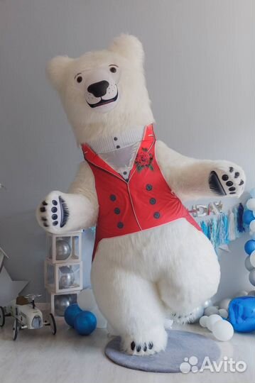 Белый мишка, поздравление, аниматор, Химки