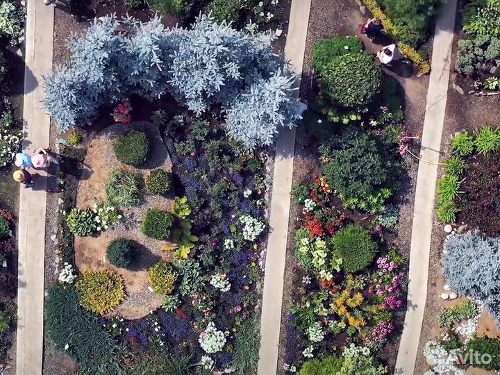Экскурсия — Горно-Алтайск — Сказка Алтайского Холм