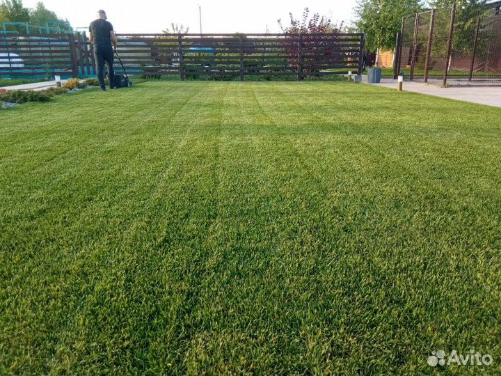 Рулонный газон