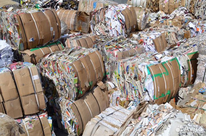 Прием макулатуры/Прием картона