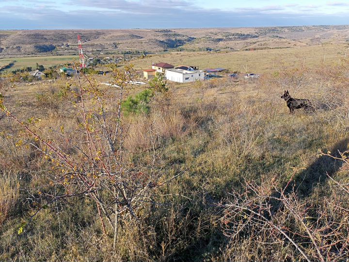 Участок 10 сот. (ИЖС)