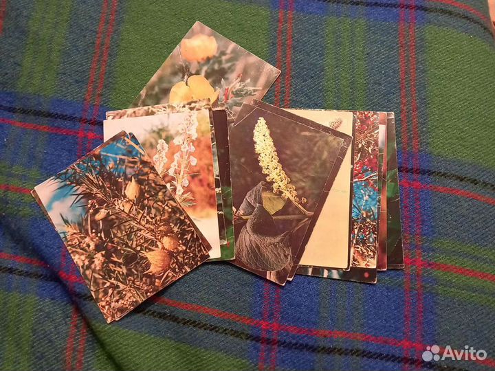 Открытки коллекционные времен СССР