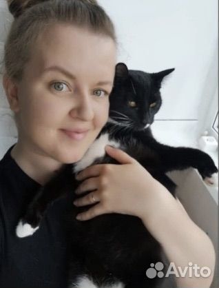 Котоняня / зооняня