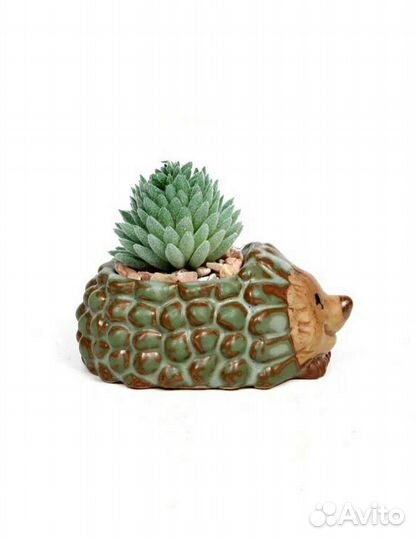 Цветочные горшки