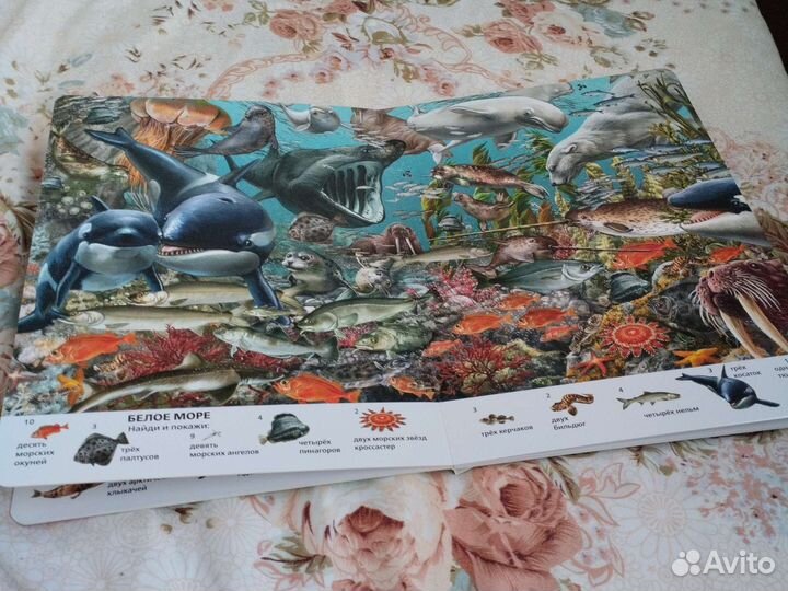 Виммельбух