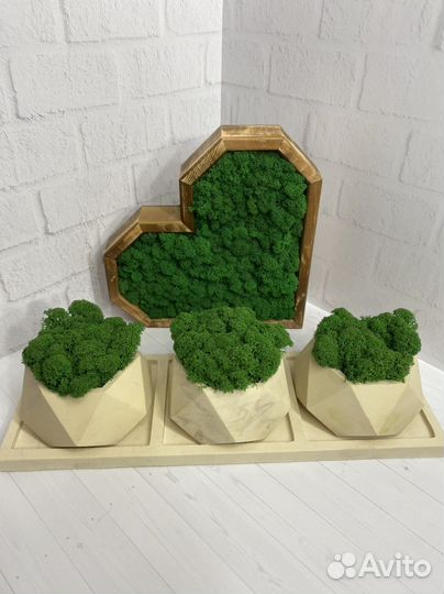 Сердце/звезда со стабилизированным мхом