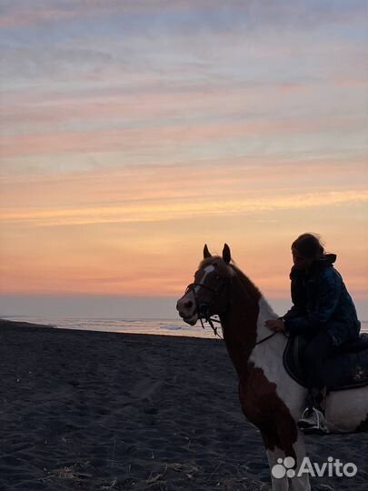 Конные прогулки