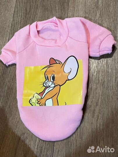 Одежда для собак