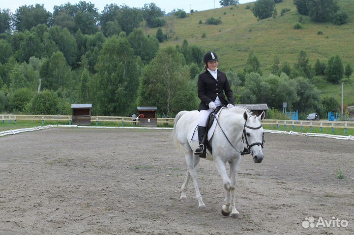 Коновод-берейтор, тренер по конному спорту