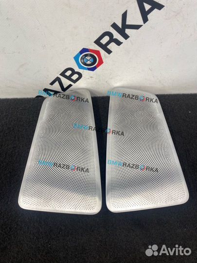 Накладка (сетка) динамика BMW 5 G30/G31 2020