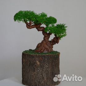 Какие искусственные деревья можно сделать своими руками