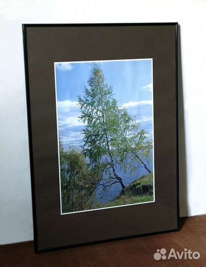 Фотокартины для интерьера