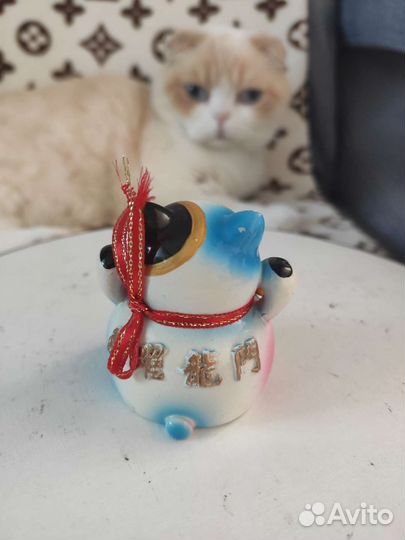 Сувенир кот