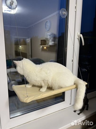 Гамак для кошек на окно
