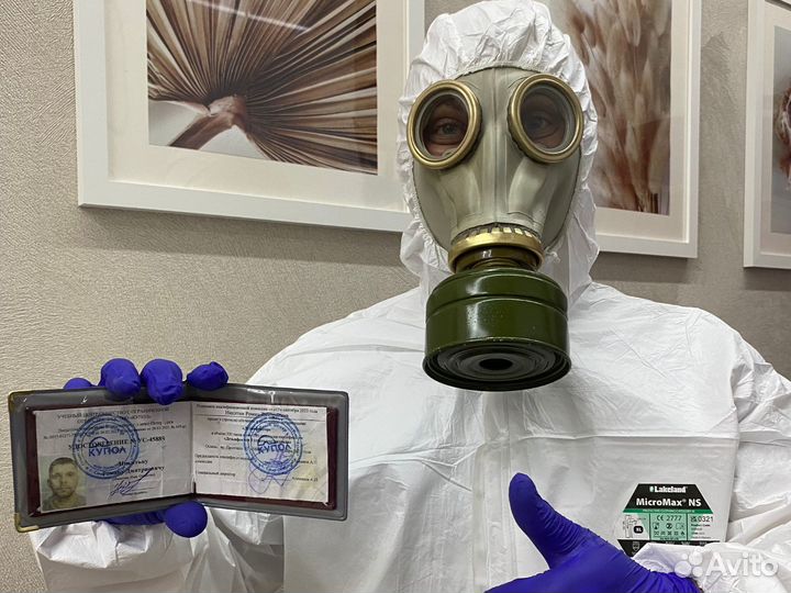 Дезинфекция методом тумана. Дезинсекция