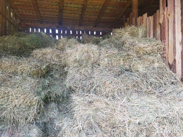 Продам сено в тюках