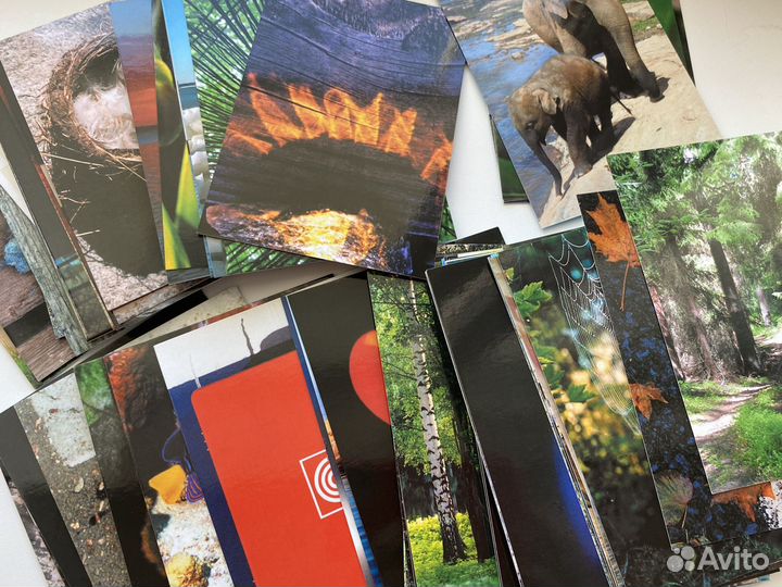 Мужчина и Женщина; Тотемные животные; Таро Манара;