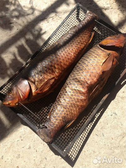 Рыбалка и охота с.Тишково Астраханская область