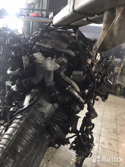 АКПП Audi A8 D2 3.3 TDI AKF