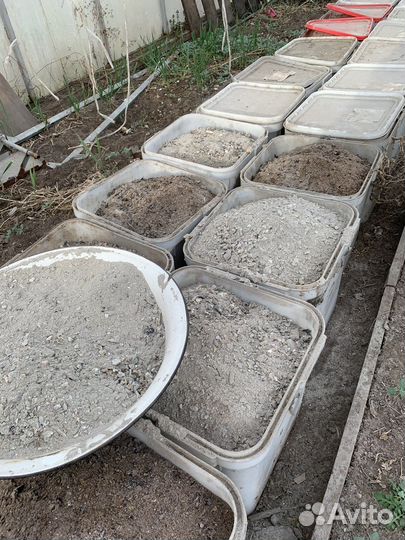 Зола древесно-угольная