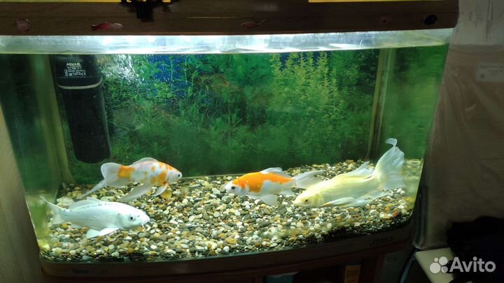 Аквариум Jebo r375 с тумбой