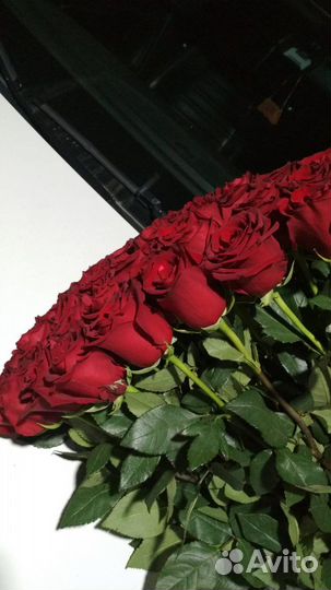 Букет из пышных эквадорских роз