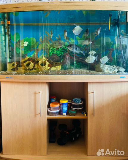 Аквариум