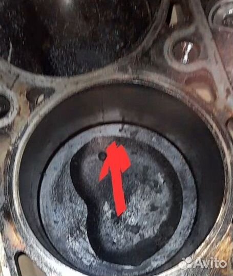 Двигатель GW491QE Wingle 5