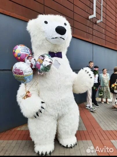 Аниматор белый медведь