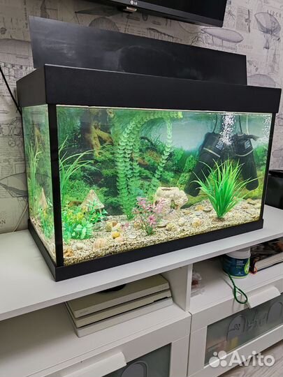 Аквариум