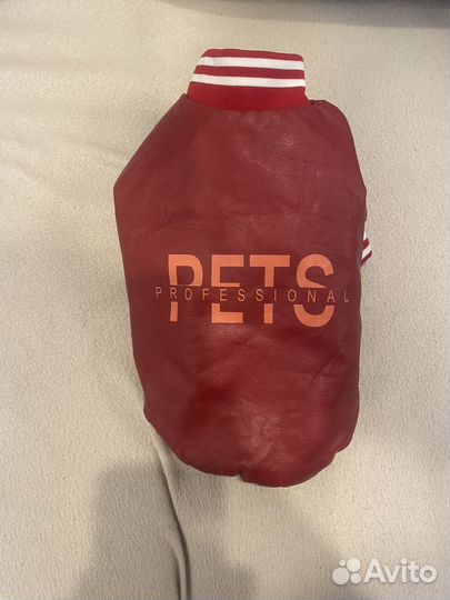 Одежда для собак