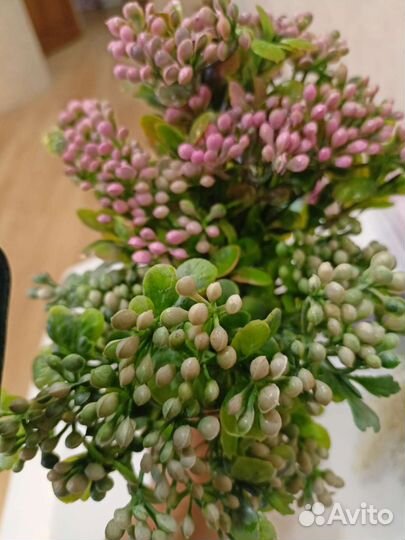 Искусственная зелень: лаванда, мокрица, бамбук