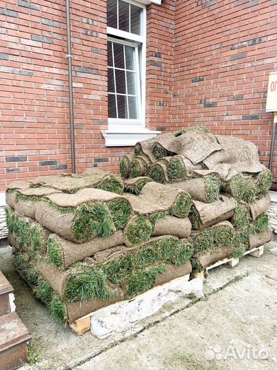 Рулонный газон под ключ