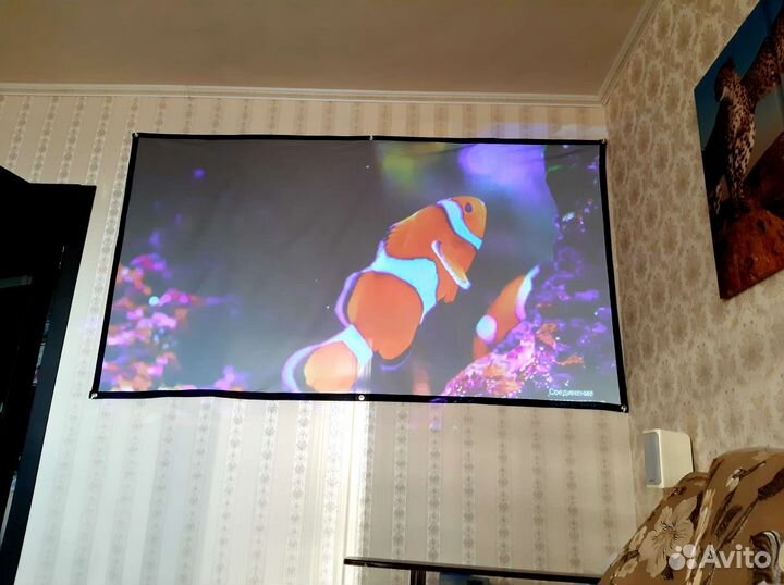 Экран для проектора
