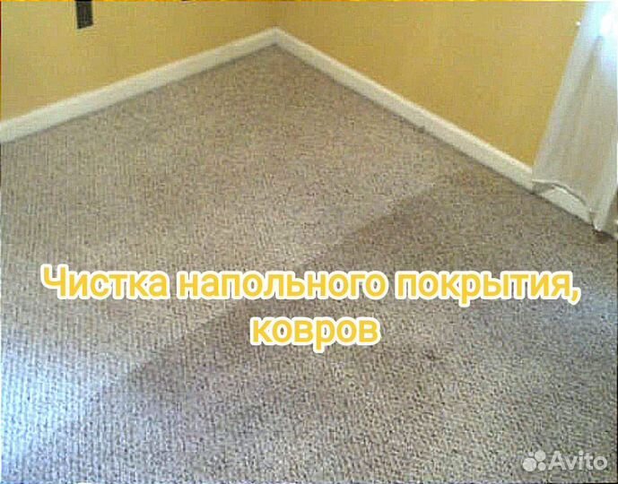 Аренда, прокат моющего пылесоса karcher