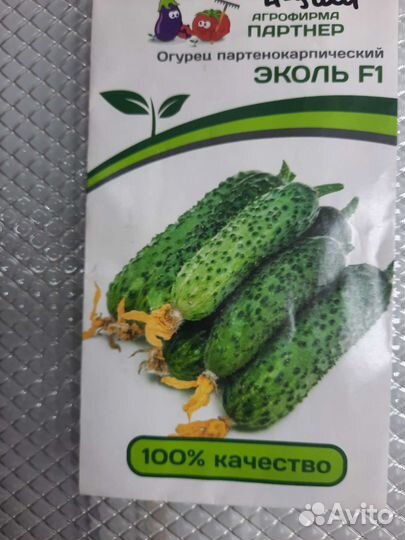 Семена Партнёр