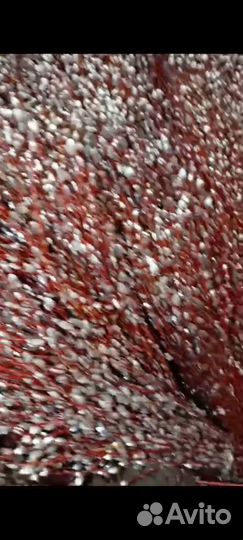 Продаю вербу