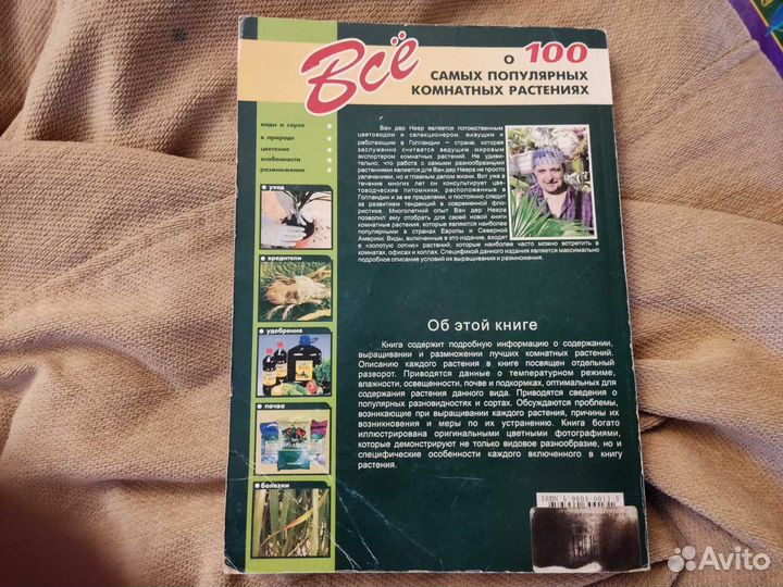 Все о 100 самых популярны комнатных растениях