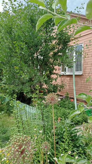 Дача 54 м² на участке 5 сот.