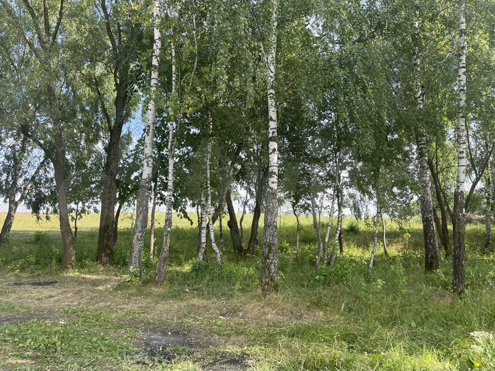 Участок 9,1 сот. (ИЖС)