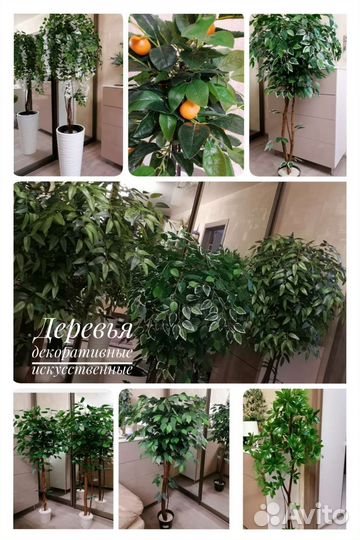 Деревья и зелень для интерьера